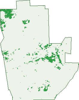 Where the trees are in Bringo