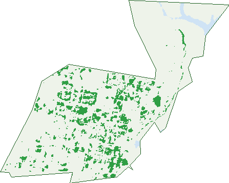 Where the trees are in Broome