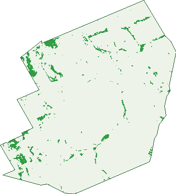 Where the trees are in Buckland
