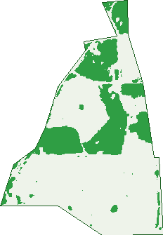 Where the trees are in Bertram