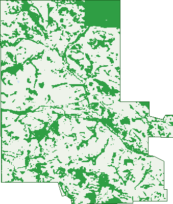 Where the trees are in Springs