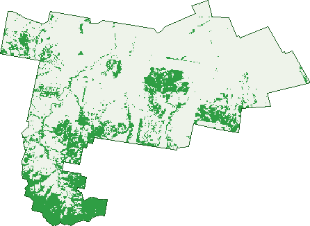 Where the trees are in Parraweena