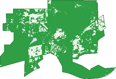 Where the trees are in Chidlow