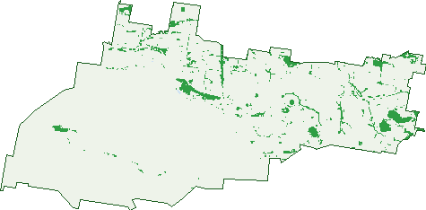 Where the trees are in Bellata