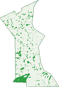 Where the trees are in Mount Pleasant