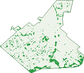 Where the trees are in Bayswater