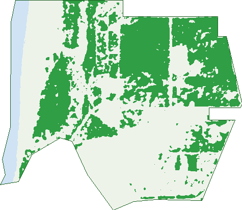 Where the trees are in Bilingurr