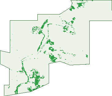 Where the trees are in Eradu