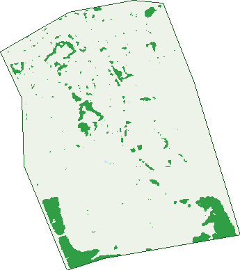 Where the trees are in Clarkson