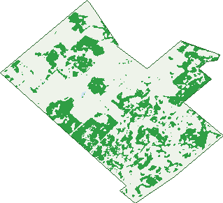Where the trees are in Southern River