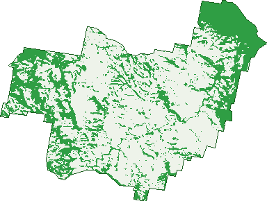 Where the trees are in Bowmans Creek
