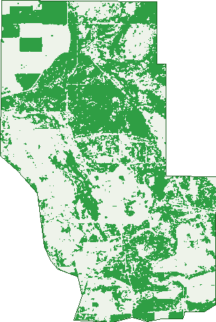 Where the trees are in Pinjar
