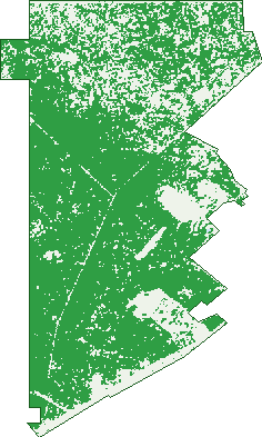 Where the trees are in Karlkurla