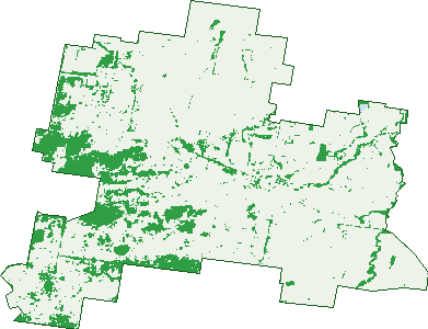Where the trees are in Gregadoo