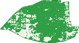 Where the trees are in Quedjinup