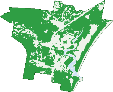 Where the trees are in Moonee Beach