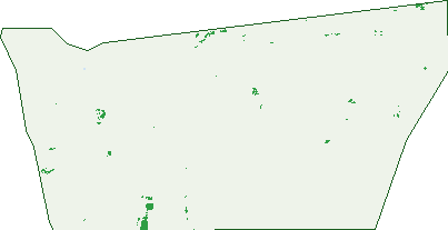 Where the trees are in Nalkain
