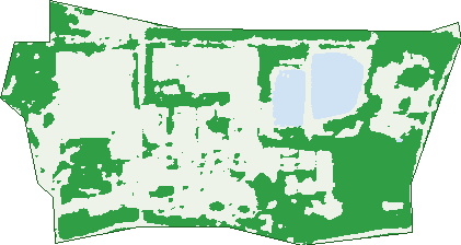 Where the trees are in Postans