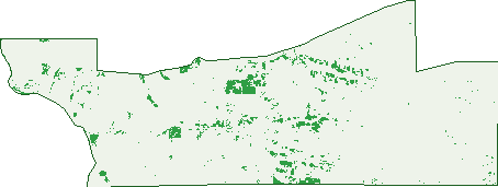 Where the trees are in Boothendarra