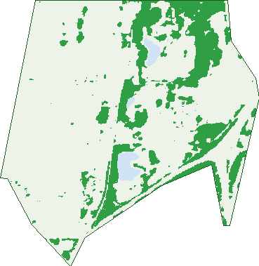Where the trees are in Lakelands
