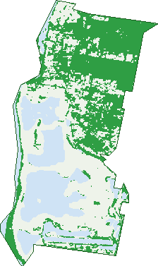 Where the trees are in Castlereagh