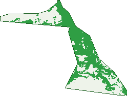 Where the trees are in Reynolds Neck