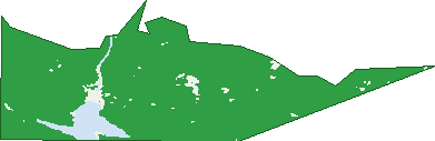 Where the trees are in Cethana