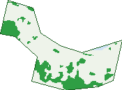 Where the trees are in Preservation Bay