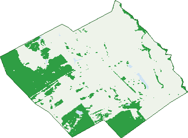 Where the trees are in Powranna