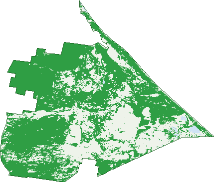 Where the trees are in Wingaroo