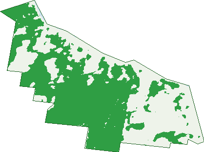 Where the trees are in Naracoopa
