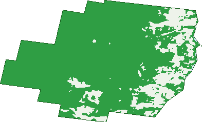Where the trees are in Middleton