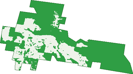 Where the trees are in North Lilydale