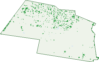 Where the trees are in Hillvue