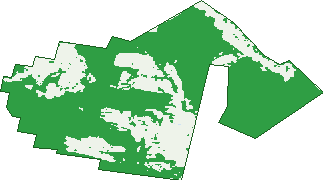 Where the trees are in Fentonbury