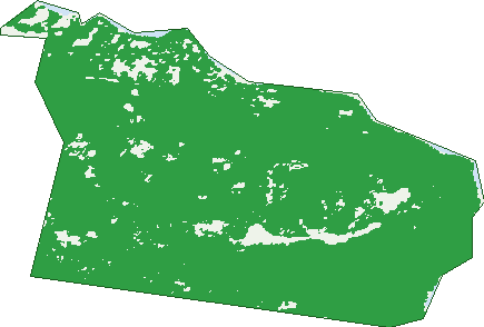 Where the trees are in Coningham