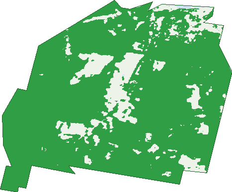 Where the trees are in Lower Snug