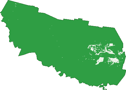 Where the trees are in West Takone