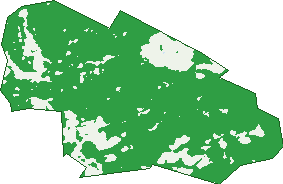 Where the trees are in Mount Rumney