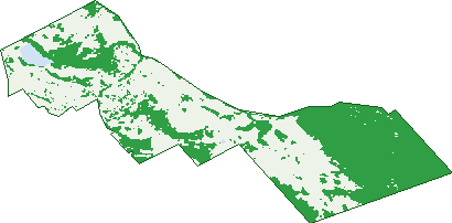 Where the trees are in Rocherlea