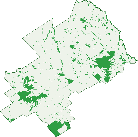 Where the trees are in Tottenham