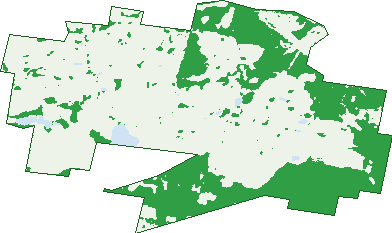 Where the trees are in Sunnyside