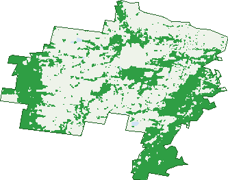 Where the trees are in Somerset