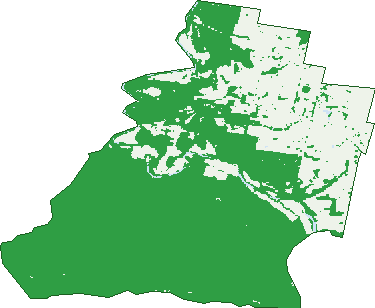 Where the trees are in Weegena