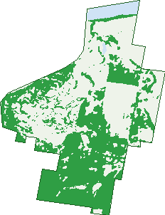 Where the trees are in James Creek
