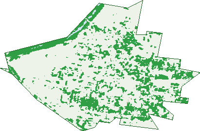 Where the trees are in Singleton