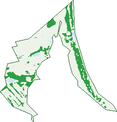 Where the trees are in Marion Bay