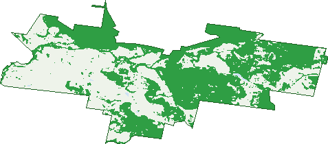 Where the trees are in Wattle Hill