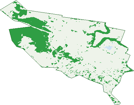 Where the trees are in Bridgewater