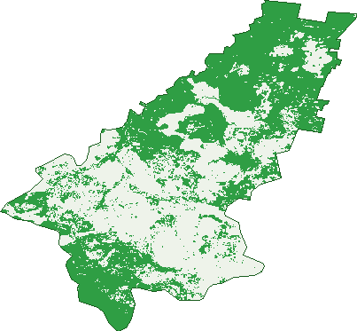 Where the trees are in Mount Lloyd